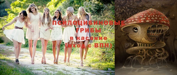 COCAINE Богородицк