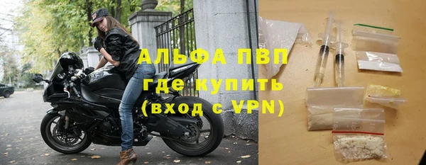 СК Бронницы