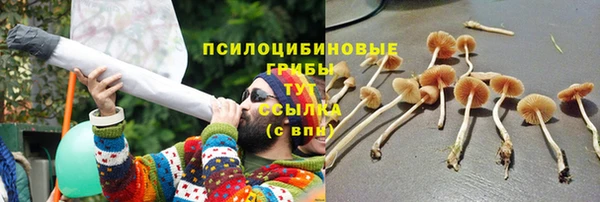 бошки Слюдянка