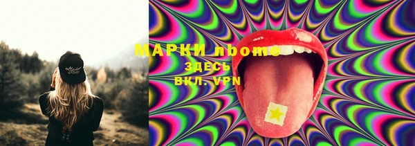 СК Бронницы