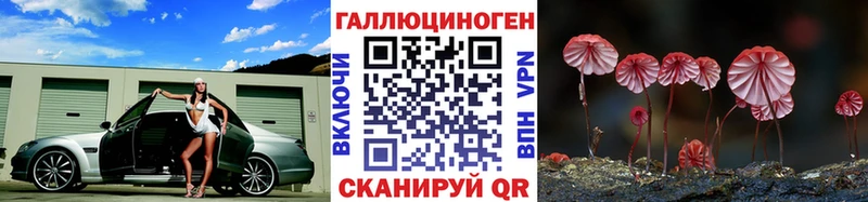 блэк спрут ТОР  продажа наркотиков  Юхнов  Галлюциногенные грибы ЛСД 